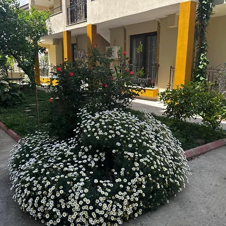 Grand Teos Apartment